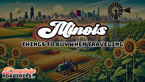 Illinois Road Trip Checklist | 60+ Items you need!