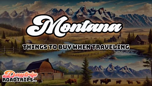 Montana Road Trip Checklist | 60+ Essential Items you need!