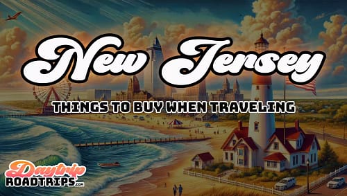 New Jersey Road Trip Checklist | 60+ Items you need!