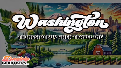 Washington Road Trip Checklist | 60+ Essential Items to take